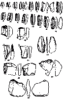 Крем’яний інвентар поселення Анетівка 2