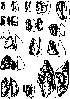 Крем’яні вироби зі стоянки Анетівка 22