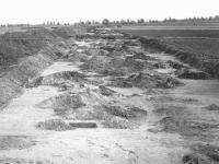 Сіняжево 1, загальний вид на місце…