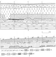 Овруч 1-97. Профіль північної стінки…