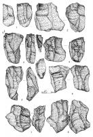 Нуклеуси комплексу Овруча 1