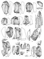 Знаряддя праці комплексу Овруча 1