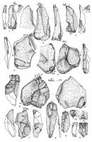 Різці, платівки та відщепи з ретушшю…