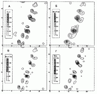 Локальные магнитные аномалии и их…