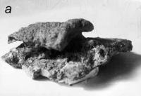 Самородная медь