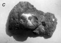 Металлическая медь каплевидной формы