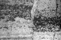 Бурый алевролит, полосчато обогащенный…