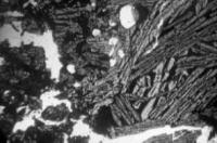 Песчанистая порода, удлиненные…