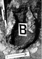 Колба-тигель горна “В” (з боку…