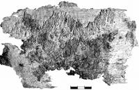 Фрагмент гаптованого чільця з пох. № 157
