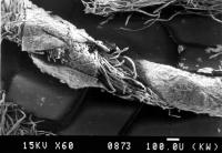 Золотна нитка з китиці, виконаної в…