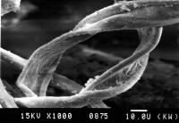 Бавовняне волокно стрижньової нитки…