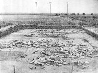 Загальний вигляд стоянки