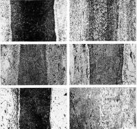 Мікроструктури виробів зі зварною…