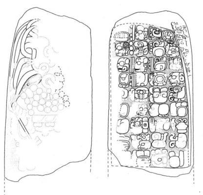 Іл. 249: Вак Чан К’авііль Йаш Е’б…