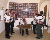 Виступ ансамблю народних музик