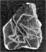 Десятинная церковь. Майоликовая плитка…