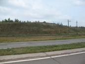 Рис. 1.1.35. Вид на борову терасу – відклади реліктової долини пра-Дніпра між… Рис. 1.1.35. Вид на борову терасу –…