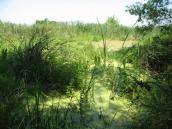 Остров Покал