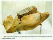 Рис. 1.10.124. Зуб мамонта,…