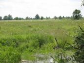 Рис. 1.2.10. Низька заплава Десни на північ від Троєщини. До будівництва… Рис. 1.2.10. Низька заплава Десни на…