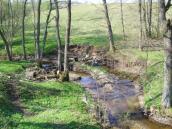 Рис. 1.2.24. Система островів Муромець та Труханів утворилася між Дніпром та… Рис. 1.2.24. Система островів Муромець…