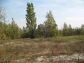 Рис. 1.2.30. Ділянка високої заплави в ур. Кілійки (на північний схід від… Рис. 1.2.30. Ділянка високої заплави в…