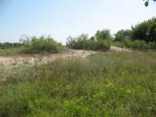 Рис. 1.6.66. Піщані гриви на о. Ольжин – оселище псамофітної рослинності… Рис. 1.6.66. Піщані гриви на о. Ольжин…