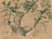 Рис. 1.8.3. Дуб Грюнвальда – графіка Г. М. Ягодкіна Рис. 1.8.3. Дуб Грюнвальда – графіка…