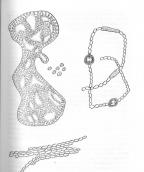 Рис. 1.9.38. Синьо-зелені водорості,…