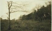 Рис. 2.5.4.39. Край борової тераси у с. Старосілля, 1916 р. Рис. 2.5.4.39. Край борової тераси у…