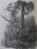 Рис. 2.5.6.66. Відпочинок на природі, малюнок початку ХХ ст. Рис. 2.5.6.66. Відпочинок на природі,…