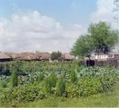 Рис. 2.5.8.17. Присадибні городи, 1909 р. Фотограф С.М. Прокудін-Горський Рис. 2.5.8.17. Присадибні городи, 1909…