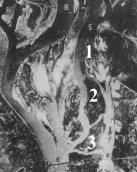 Рис. 2.7.8.12. 1 – Сучасне урочище Горбачиха – 1, північна частина суч.… Рис. 2.7.8.12. 1 – Сучасне урочище…