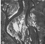 Рис. 2.7.9.15. Труханів острів на німецькому аерофотознімку 26.09.1943 р.… Рис. 2.7.9.15. Труханів острів на…