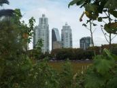 Рис. 4.5.8. Резерват «Південне узбережжя» (Reserva ecologica Costanera Sur) в… Рис. 4.5.8. Резерват «Південне…