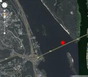 Рис. 3.1.142. Рештки бика…