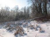 Рис. 4.8.3. Заплавний острів Оболонський має увійти до заповідної зони РЛП/НПП… Рис. 4.8.3. Заплавний острів…