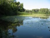 Рис. 4.8.4. Острів Лопуховатий в силу своєї ізольованості та малої… Рис. 4.8.4. Острів Лопуховатий в силу…