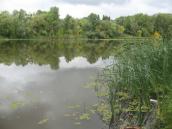 Рис. 4.8.6. Краєвид Галерного острова. Фото І. Парнікози Рис. 4.8.6. Краєвид Галерного острова.…