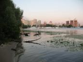 Рис. 4.8.7. Затока Берковець. Фото І. Парнікози Рис. 4.8.7. Затока Берковець. Фото І.…