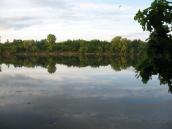 Рис. 4.8.8. Краєвид Жукового острова. Фото І. Парнікози Рис. 4.8.8. Краєвид Жукового острова.…