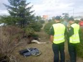 Операція з евакуації лося, який заплив…