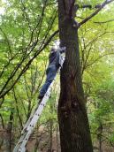 Розміщення охоронного щита на пам’ятці…