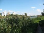 Вид на озеро Радунка. Фото І. Парнікози, 2012 р. Вид на озеро Радунка. Фото І.…