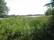 Куточок озера Редькине. Фото І.…