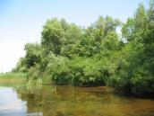 Фрагмент узбережжя острова Великий Південний. Фото І. Парнікози, 2011 р. Фрагмент узбережжя острова Великий…