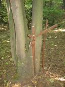 Рис. 2.14. Ґрати Ощевського-Круглика…