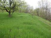 Рис. 2.24. Фрагмент спланованого схилу…