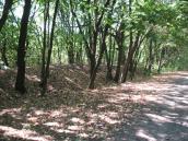 Рис. 2.25. Насип – позиція для…